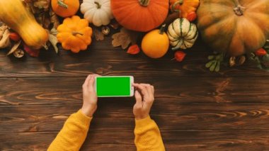Kabaklar ve beyaz smartphone ahşap masa üzerinde yatay konumda yeşil ekran ile sonbahar üstten görünüm kompozisyon. Kadın kaydırma, yakınlaştırma ekran. Chroma Key. Hareket izleme. Düz yatıyordu