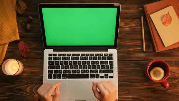 Woman typing on the laptop computer — Stock Video