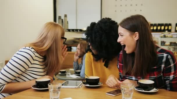 Fröhliche und positive Gruppe von Freundinnen, die in der gemütlichen Kaffeestube sitzen, quatschen und sich in der Pause amüsieren. Nahaufnahme. — Stockvideo