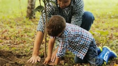 Portre. Küçük bir çocuk ve babası bir ağaç dikme portresi. Çocuk tarafından tree diz çöker. Onlar kendi elleriyle toprak tuşuna basın. Arka plan bulanık