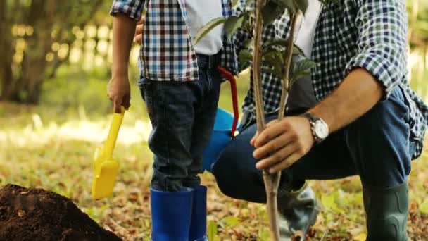 Primer plano. Retrato de un niño y su padre plantando un árbol. El hombre toma el árbol y lo pone en el agujero. El chico juega con su pala. Cámara subiendo. Fondo borroso — Vídeos de Stock