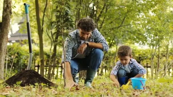 Primo piano. Ritratto di un bambino e di suo padre che piantano un albero. Papa 'mette il terreno sulle radici dell'albero. Papà tocca l'albero. Sfondo sfocato — Video Stock