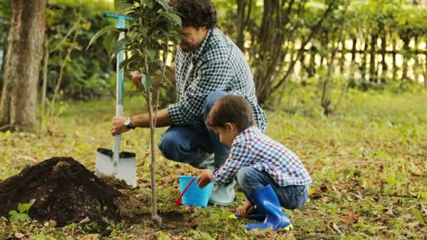 Retrato de un niño y su padre plantando un árbol. Papá sonríe a su hijo y cava la pala en el suelo. El chico juega con su cubo. Fondo borroso — Vídeo de stock