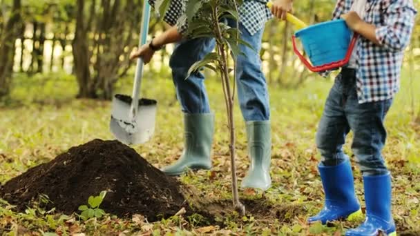 Primer plano. Retrato de un niño y su padre plantando un árbol. Juntos ponen la tierra en las raíces del árbol. Papá le dice algo a su hijo. Fondo borroso — Vídeo de stock