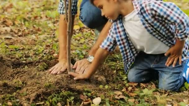Крупный план. Портрет маленького мальчика и его отца, сажающего дерево. Они отжимают землю руками. Размытый фон — стоковое видео