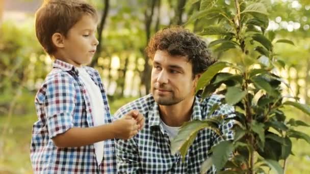 Primer plano. Retrato de un niño y su padre plantando un árbol. El niño le dice algo a su padre, responde el padre. El chico toca las hojas. Fondo borroso — Vídeos de Stock