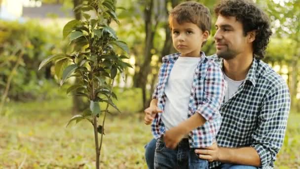 Κοντινό πλάνο. Το πορτραίτο ενός μικρού αγοριού και του πατέρα του να φυτεύουν ένα δέντρο. Το αγόρι αγγίζει τα φύλλα, μετά κοιτούν στην κάμερα και χαμογελούν. Θολή φόντο — Αρχείο Βίντεο