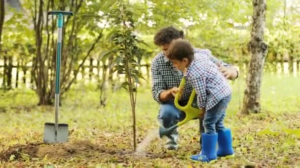 Retrato de un niño y su padre plantando un árbol. Riegan el árbol. Papá ayuda a su hijo. Fondo borroso — Vídeo de stock