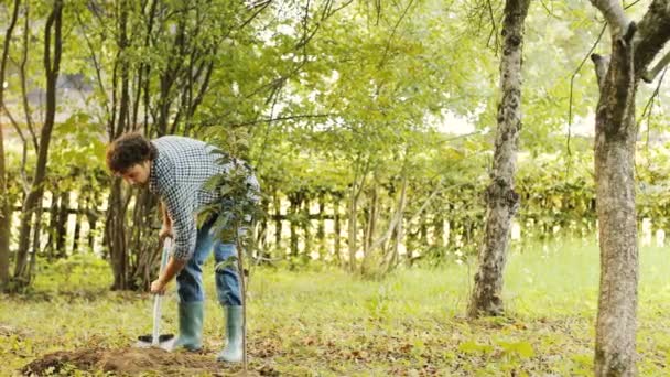 Porträt eines Bauern, der einen Baum pflanzt. Mit dem Spaten setzt er Erde auf die Wurzeln. verschwommener Hintergrund — Stockvideo