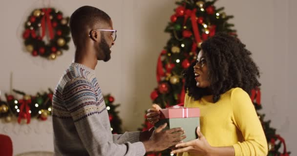 Hombre joven afroamericano guapo dando un regalo de Navidad a su novia bonita y se abrazan en el árbol de Navidad con luces y cintas rojas en la acogedora sala de estar. De interior — Vídeo de stock