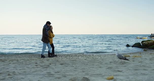 Giovane bella coppia che cammina sulla costa e il gabbiano camminando dall'altra parte sul primo piano. Freddo nuvoloso. Orizzonte marino. All'aperto — Video Stock