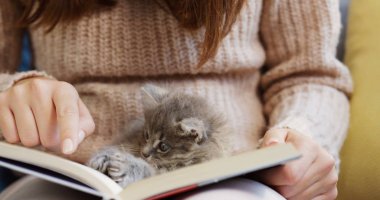 Gri bir küçük kedi kadının diz açık kitap üzerine oturan kapatın. Evde. İçinde