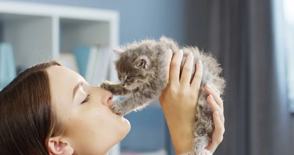 Nahaufnahme von hübschen Frau küsst und hält eine kleine süße Kätzchen-Katze auf dem Sonnenlicht Hintergrund. drinnen — Stockfoto