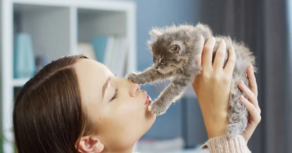 Nahaufnahme von hübschen Frau küsst und hält eine kleine süße Kätzchen-Katze auf dem Sonnenlicht Hintergrund. drinnen — Stockfoto