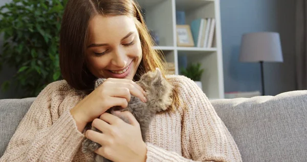 Vacker ung kvinna leker med en söt kitty i soffan medan i det trevligt vardagsrummet. Porträtt. Inuti — Stockfoto