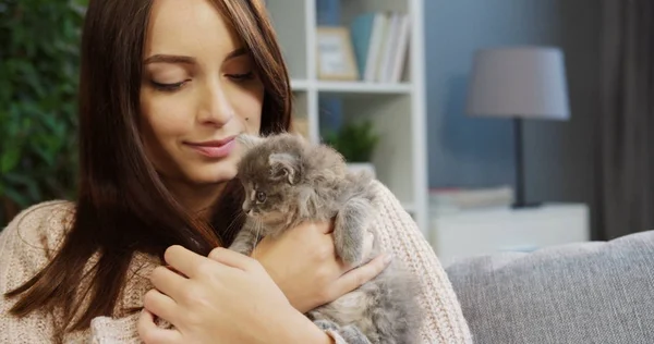 Retrato de una joven encantadora jugando con un lindo gatito y sonriendo mientras se sienta en el sofá en la bonita sala de estar. De interior — Foto de Stock