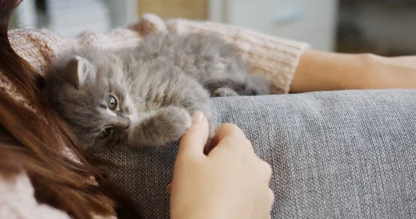 Close up of lying small pussycat near young woman at home. Relaxing time with a pet. indoor — Stock Photo, Image