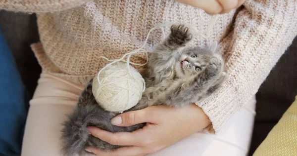 Close up de pequeno gato engraçado brincando com uma bola de fio branco enquanto deitado sobre os joelhos das mulheres. Interior — Fotografia de Stock