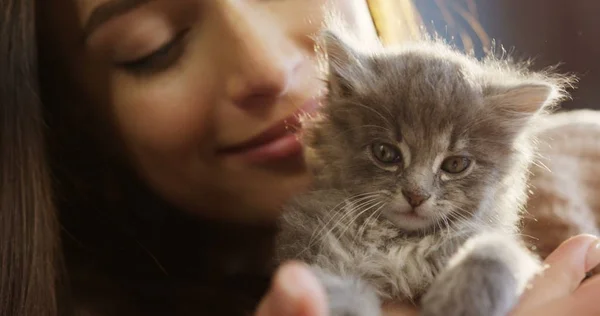 Caressing し彼女の小さな灰色の子猫ちゃんをハグとキスの魅力的な若い女性。肖像画を撮影します。クローズ アップ。屋内 — ストック写真