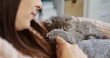Sevecen ve iskambil ile komik bir gri küçük kedi kanepede yatan genç kadın kapatın. İç ev