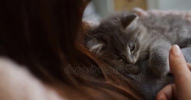 Genç kadın yakınındaki kanepede yatan gri küçük kedi kapatın. A evde beslenen hayvan serbest zaman. Kapalı