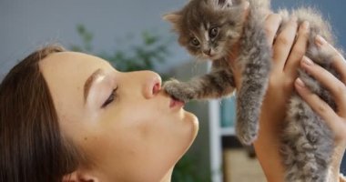 Holding ve küçük yavru kedi kiving Oda güneş ışığı arka plan üzerinde öpüşme güzel ve genç birbayan. Kapalı