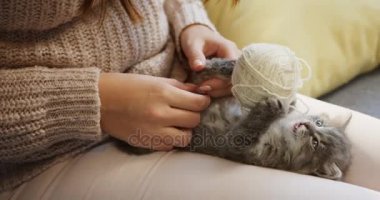 Gri bir küçük kedi arkasında yatan ve kadının diz iş parçacığında bir top oynamaya yakın çekim... Kapalı
