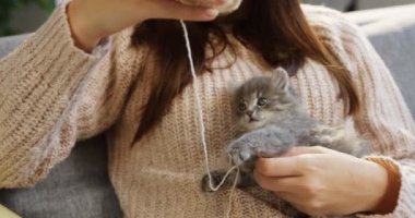 Genç kadının ellerinde oturan ve rahat Oda bir iplik ile oynarken küçük bir kedi kapatın. Kapalı.