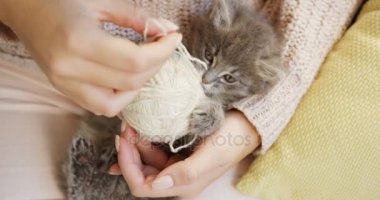 Yukarıdan komik güzel kitty pembe pantolon womans dizleri üzerinde beyaz iplik ve eller bir top oynarken-görüntüleyin. Yakın çekim. İçinde