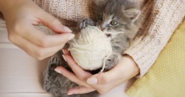 Üstten Görünüm üzerinde küçük güzel-pembe pantolon womans diz beyaz iş parçacığında bir top ile sırtında yatarken pisiciğim. Yakın çekim. Kapalı