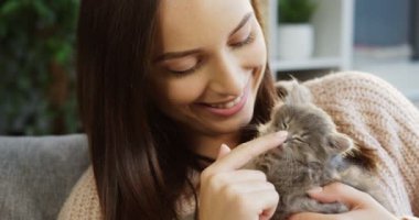 Küçük yavru kedi sevecen bir pembe kazaklı genç güzel kadın hangi onun elinde iken evde uyuyan kapatın. Kapalı. Portre vurdu