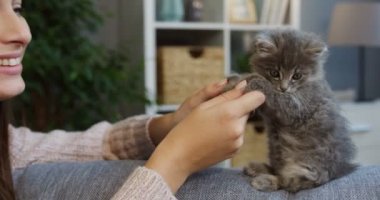 Atractive genç kadının güzel oturma odasında kanepede biraz gri kitty ile komik bir oyun kapatın. Kapalı