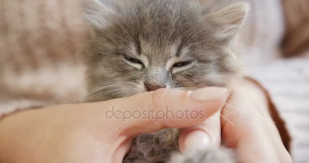 Kleine poesje close up pics