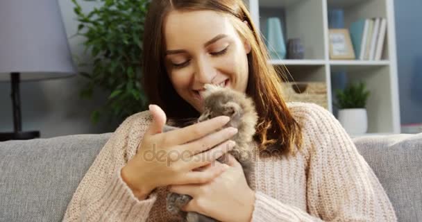 Hermosa mujer joven jugando con un gatito lindo en el sofá, mientras que en la sala de estar agradable. Retrato. Adentro. — Vídeos de Stock