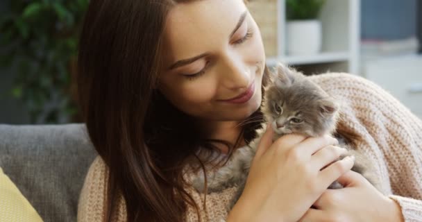 Portré fiatal vonzó nő egy rózsaszín pulóver, egy kis cica, a kezét simogatta a hangulatos szobában otthon ülve. Fedett. Közelről — Stock videók