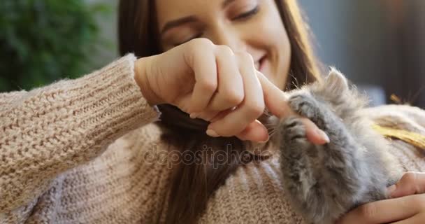 젊은 예쁜 여자는 작은 새끼 고양이 그녀의 손가락을 물린 하려고 그것을 놀고. 집에. 실내. 닫습니다. 세로 — 비디오