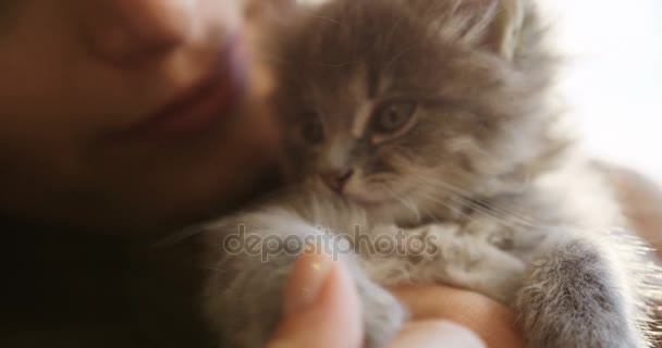 Fechar de um gatinho cinzento bonito e uma mulher bonita beijando-o. Cuidar de um gato — Vídeo de Stock