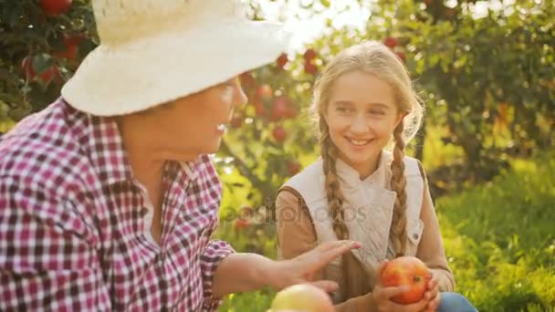 Primer plano de la abuela en un sombrero sentado en el jardín y enseñando a su linda nieta a ordenar las manzanas. Recogiendo la cosecha. Retrato plano — Vídeo de stock