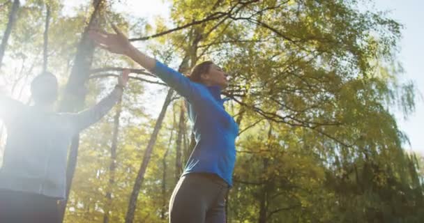 Fiatal sportos nő és férfi kora reggeli jóga a levegő, a napsütéses parkban. Gyakorlása és a nyújtás. A szabadban — Stock videók