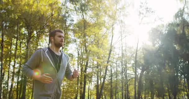 Zeitlupe von der Seite und unten eines jungen, sportlichen Mannes mit Kopfhörern, der im Park joggt. das sonnige Wetter im Frühherbst. Außen — Stockvideo