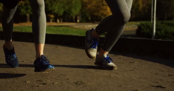 Närbild på jogging kvinnliga och manliga fötter på vägen i parken hösten. Utomhus — Stockvideo