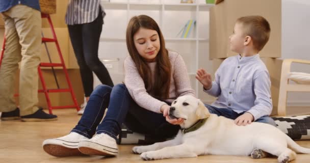 Retrato de los niños pequeños, niño y niña, acariciando a un cachorro labrador durante su mudanza al nuevo apartamento con sus padres. En interiores — Vídeo de stock
