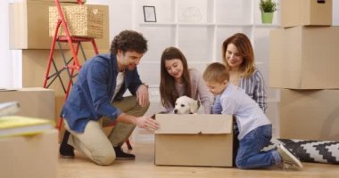 Karton kutu oturan ve bir köpek yavrusu Paketli malzeme ile birçok kutular arasında kutusunun yaptırmayı mutlu bir aile. Yakın çekim. Yeni dairende hareket. Kapalı