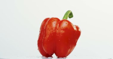 Beyaz duvar arka plan üzerinde yuvarlanan su kırmızı biber ile makro çekim bırakır. Yakın çekim