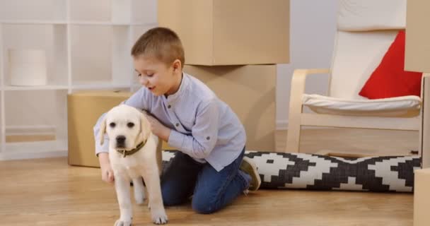 Милий маленький хлопчик грає і обіймає цуценя лабрадора серед картонних коробок з домашніми речами у вітальні нової квартири. індорів — стокове відео