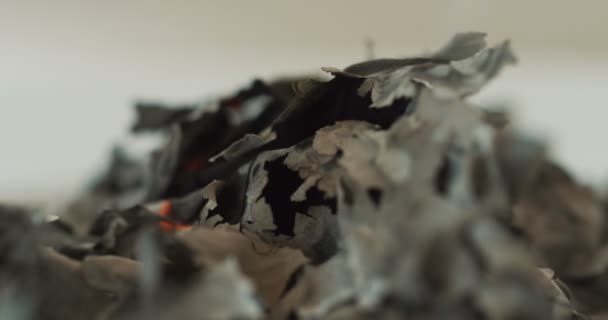 Macro del papel ardiente sobre el fondo blanco. De cerca. — Vídeos de Stock