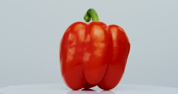 Tiro macro del pimiento rojo rodando sobre el fondo blanco de la pared. De cerca. — Vídeo de stock