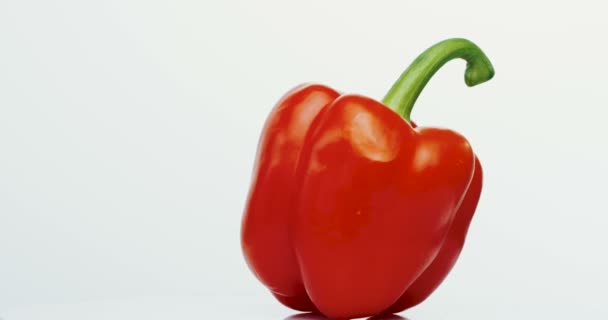 Macro shooting of the spinning red pepper on the white wall background. Close up — Stock Video