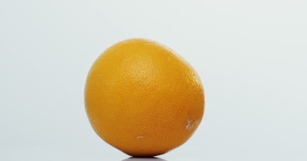 Feche a toranja laranja rolando na frente da câmera sobre o fundo branco. Macro — Vídeo de Stock