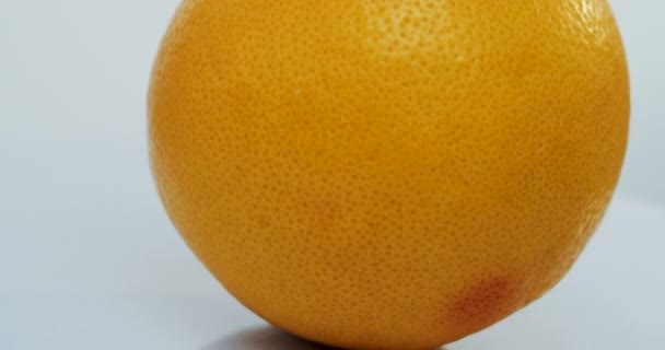 Tiro macro del pomelo naranja rodando sobre el fondo blanco de la pared. De cerca. — Vídeo de stock
